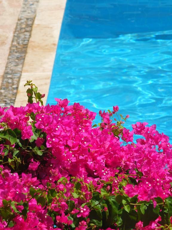 Hotel Villa Berk Fethiye Kültér fotó
